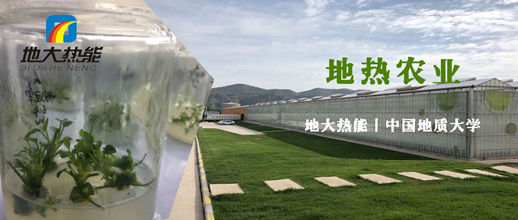 地熱在農業(yè)中的綜合利用助力雙碳目標實現(xiàn)|地熱農業(yè)-地大熱能