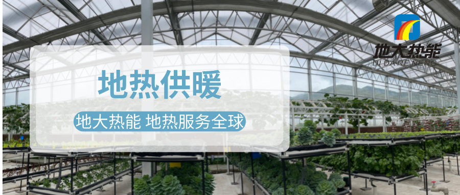 發(fā)揮地?zé)豳Y源優(yōu)勢，地?zé)徂r(nóng)業(yè)實(shí)現(xiàn)花卉產(chǎn)業(yè)特色發(fā)展 | 地大熱能 地?zé)岱?wù)全球